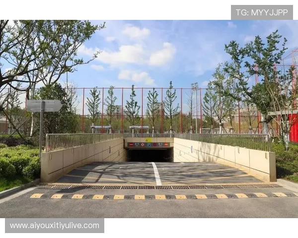 体育场馆升级智能停车系统 改善交通体验