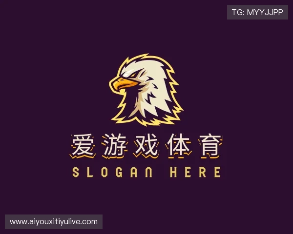 发现爱游戏体育团队